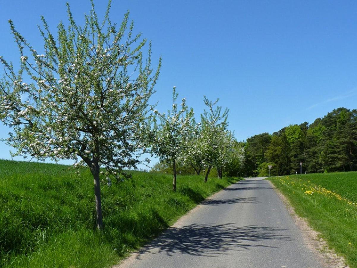 Ferienwohnung Jacobi Kurfuerst Naumburg (Hessen) Esterno foto