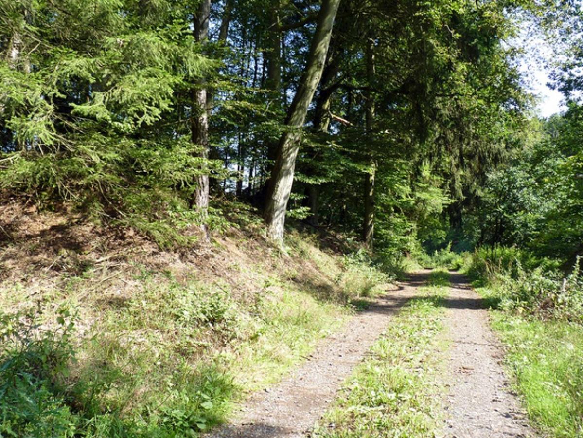 Ferienwohnung Jacobi Kurfuerst Naumburg (Hessen) Esterno foto