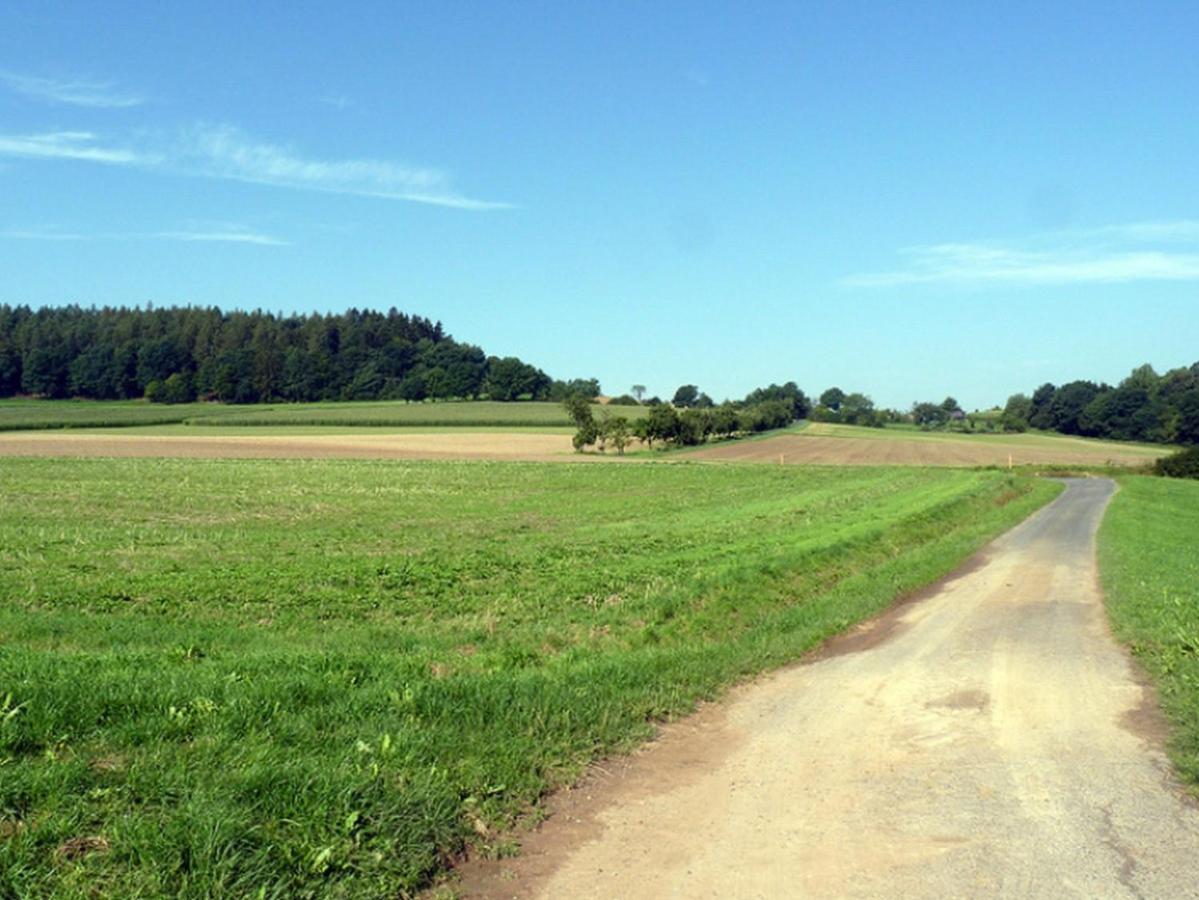 Ferienwohnung Jacobi Kurfuerst Naumburg (Hessen) Esterno foto