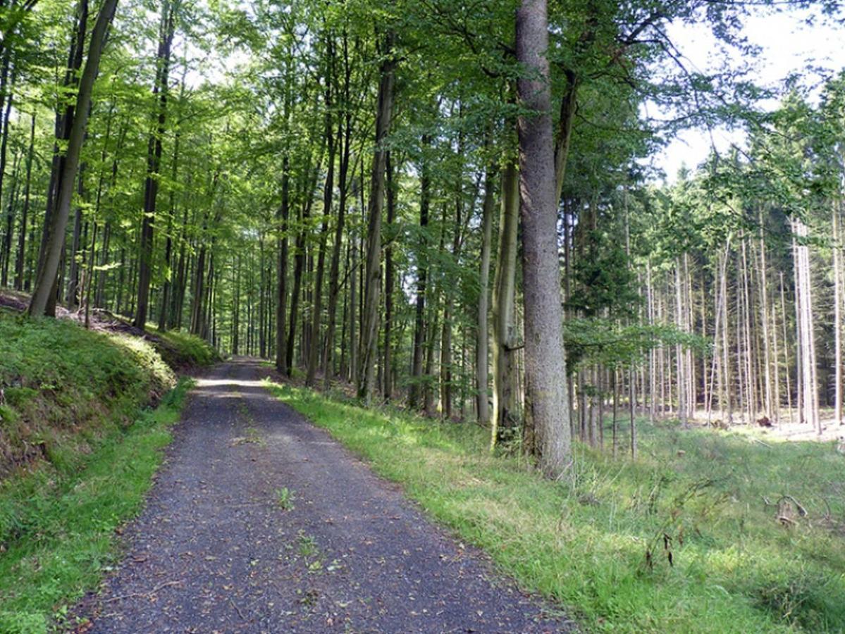 Ferienwohnung Jacobi Kurfuerst Naumburg (Hessen) Esterno foto